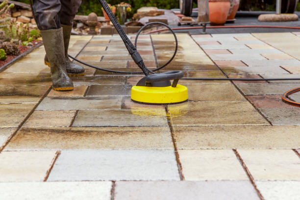 Best Sidewalk and Walkway Cleaning  in Muscatine, IA