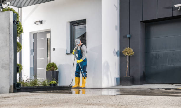 Best Driveway Pressure Washing  in Muscatine, IA
